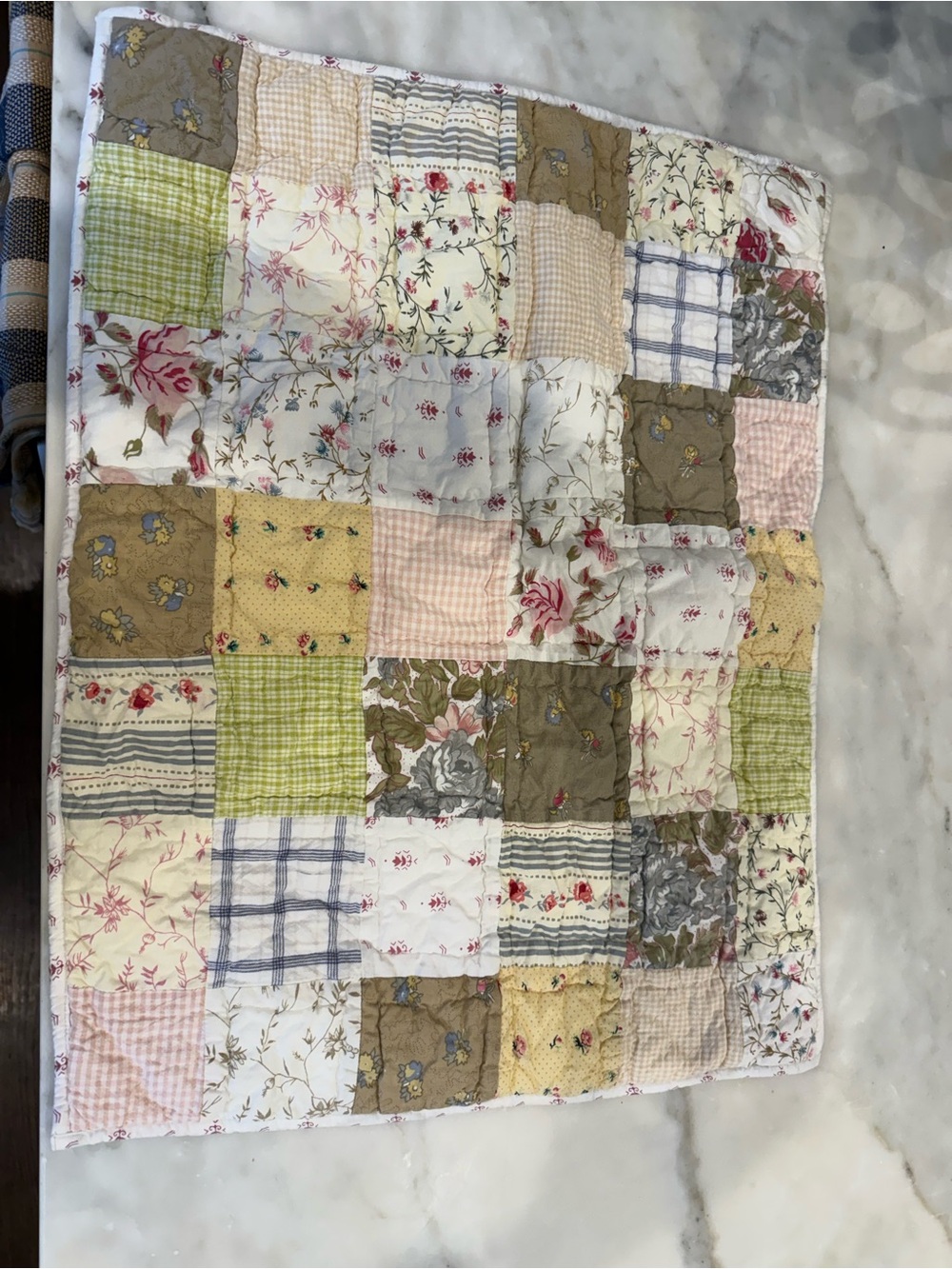 Pottery barn standard shams(2)